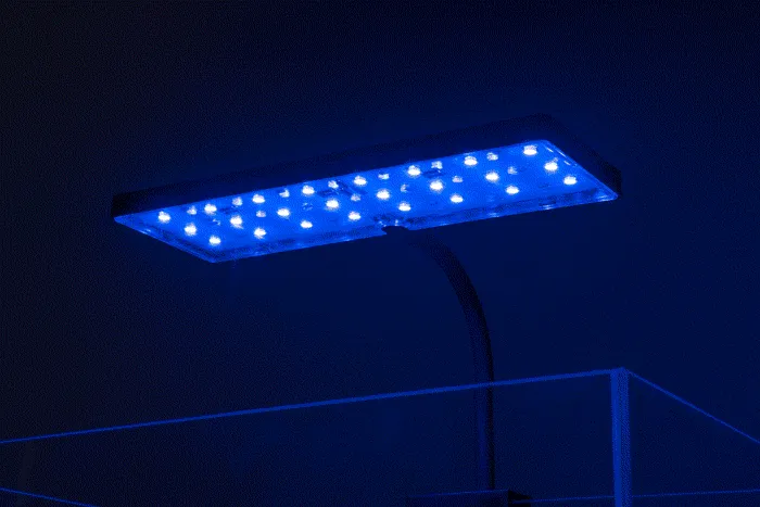 Aqua Worx EOS Nano LED Light