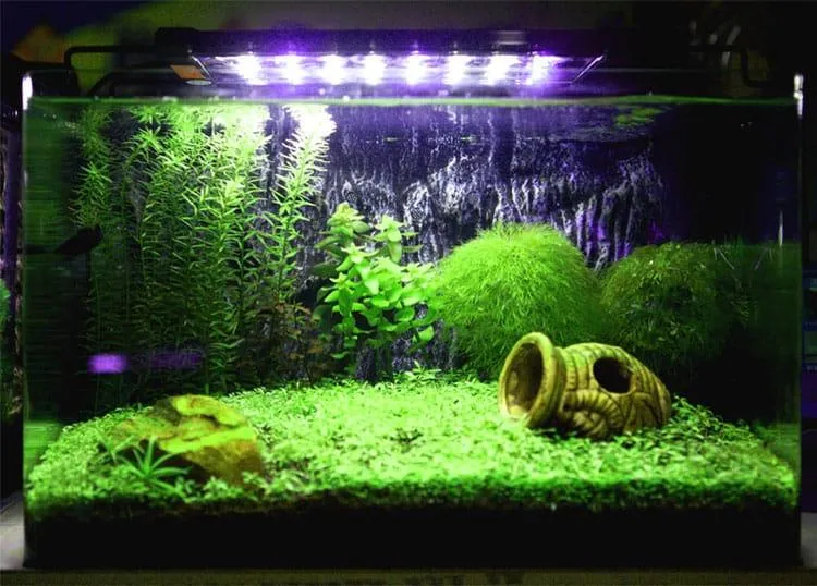 Aquarium LED Lighting Fixture