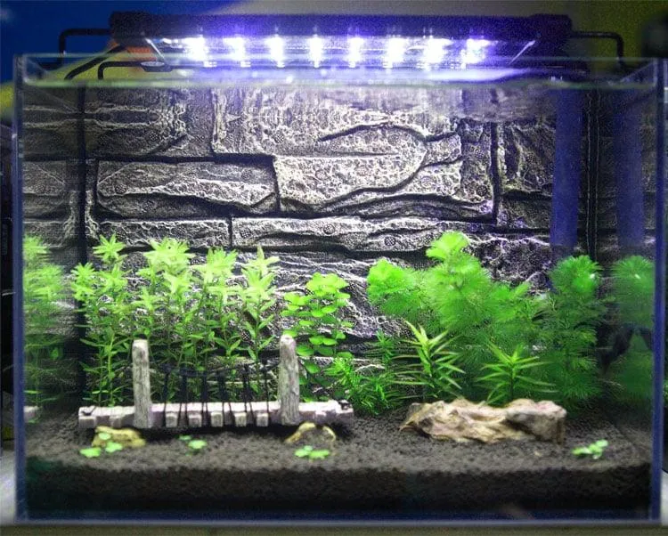 Aquarium LED Lighting Fixture