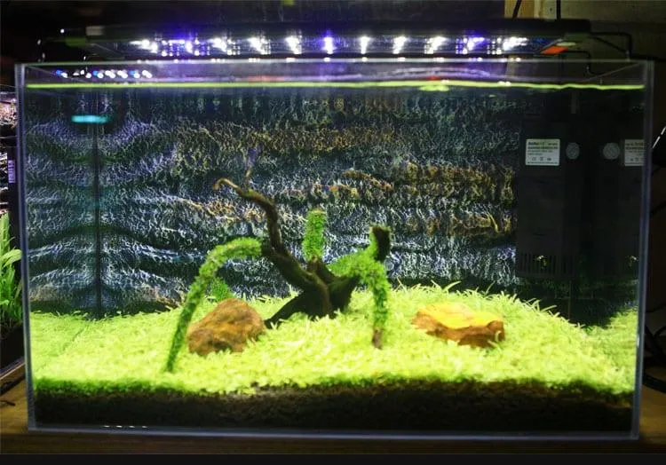 Aquarium LED Lighting Fixture
