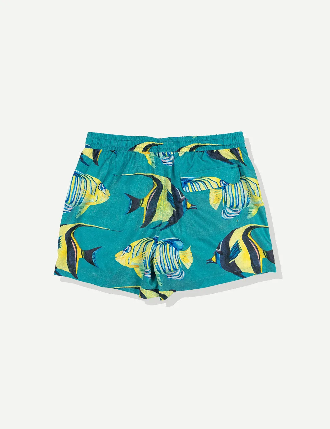 Aquarium Swim Short