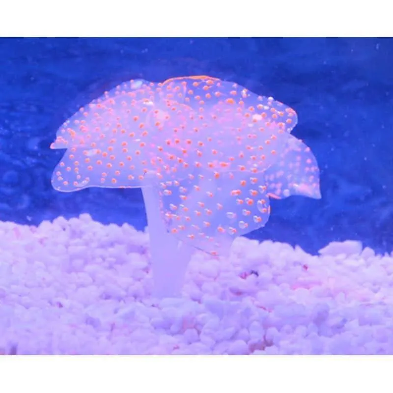 Artificial Coral Plant with Sucker