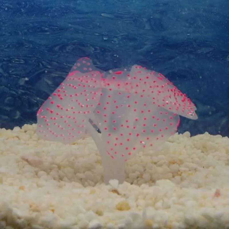 Artificial Coral Plant with Sucker