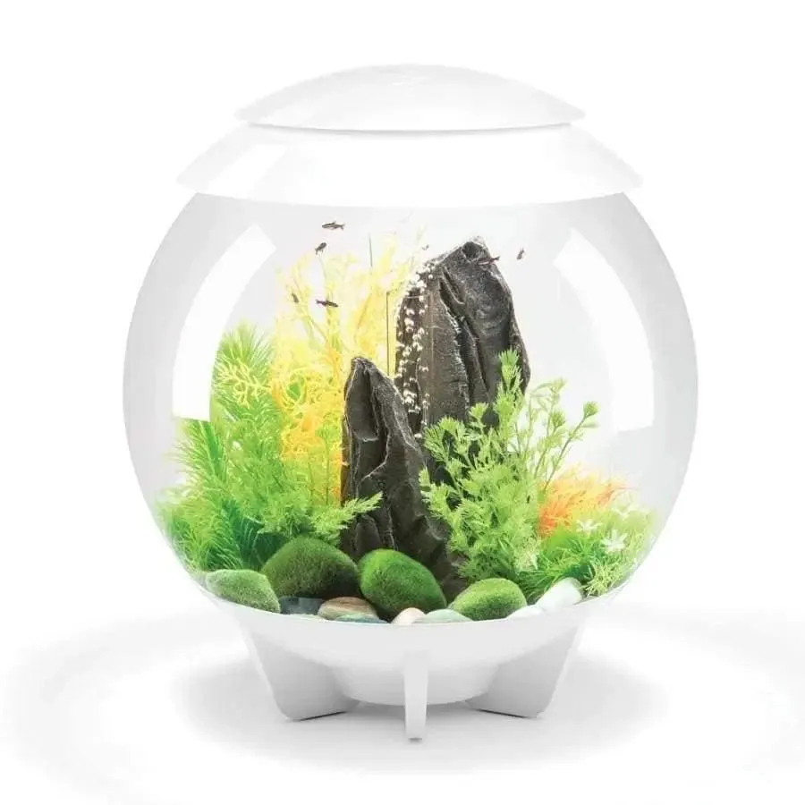 BiOrb HALO Multi-Color Remote Acrylic Aquarium Kit