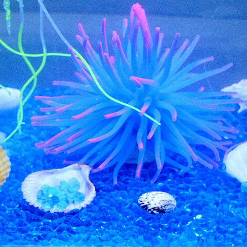 Pretty Blue Stones For Aquarium