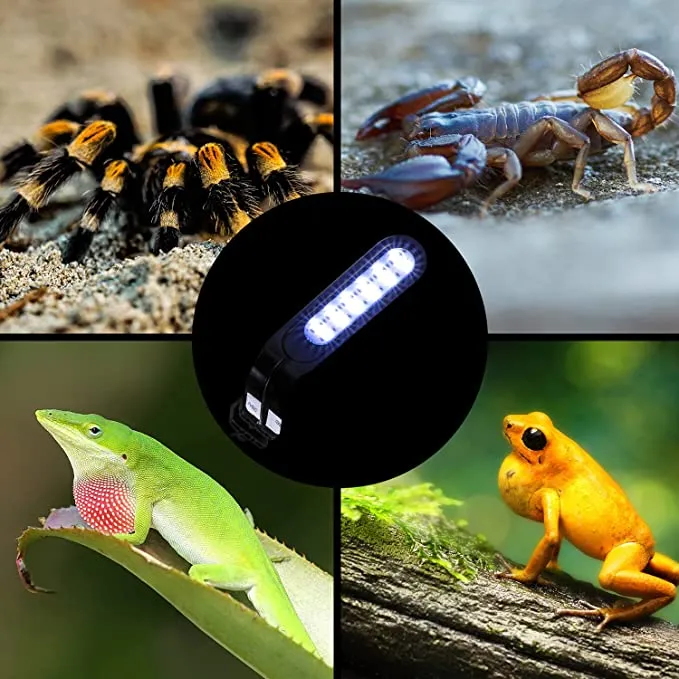 REPTI ZOO LED 7 Light Modes Clip Light 5W Day and Night LED Lights for Reptile Terrarium and Fish Tank